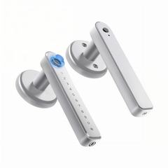 Dasanio™ Fingerprint Door Handle Lock