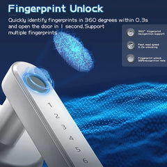 Dasanio™ Fingerprint Door Handle Lock